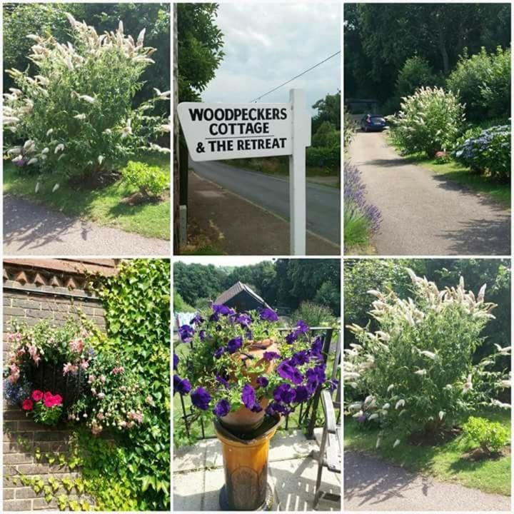Woodpeckers Cottage B&B Pett Buitenkant foto